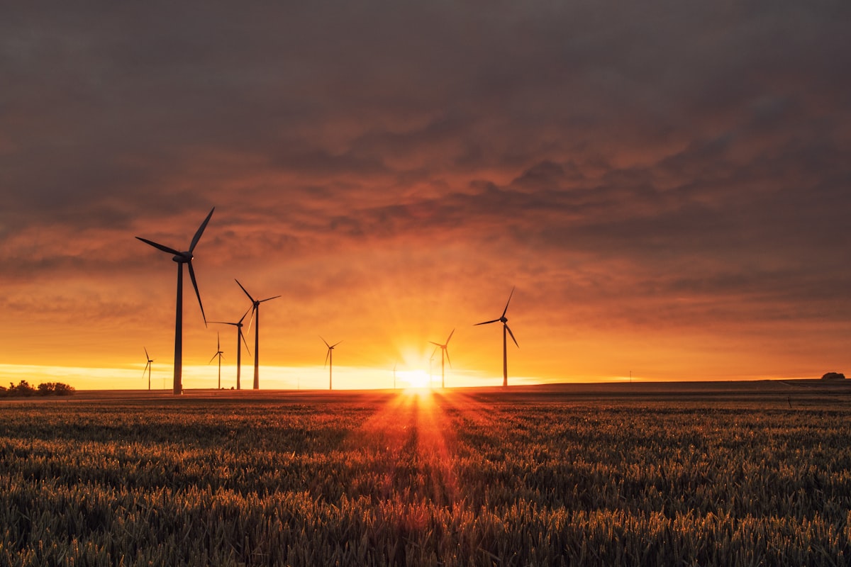 Offshore wind in Galicia: wind, sea and future